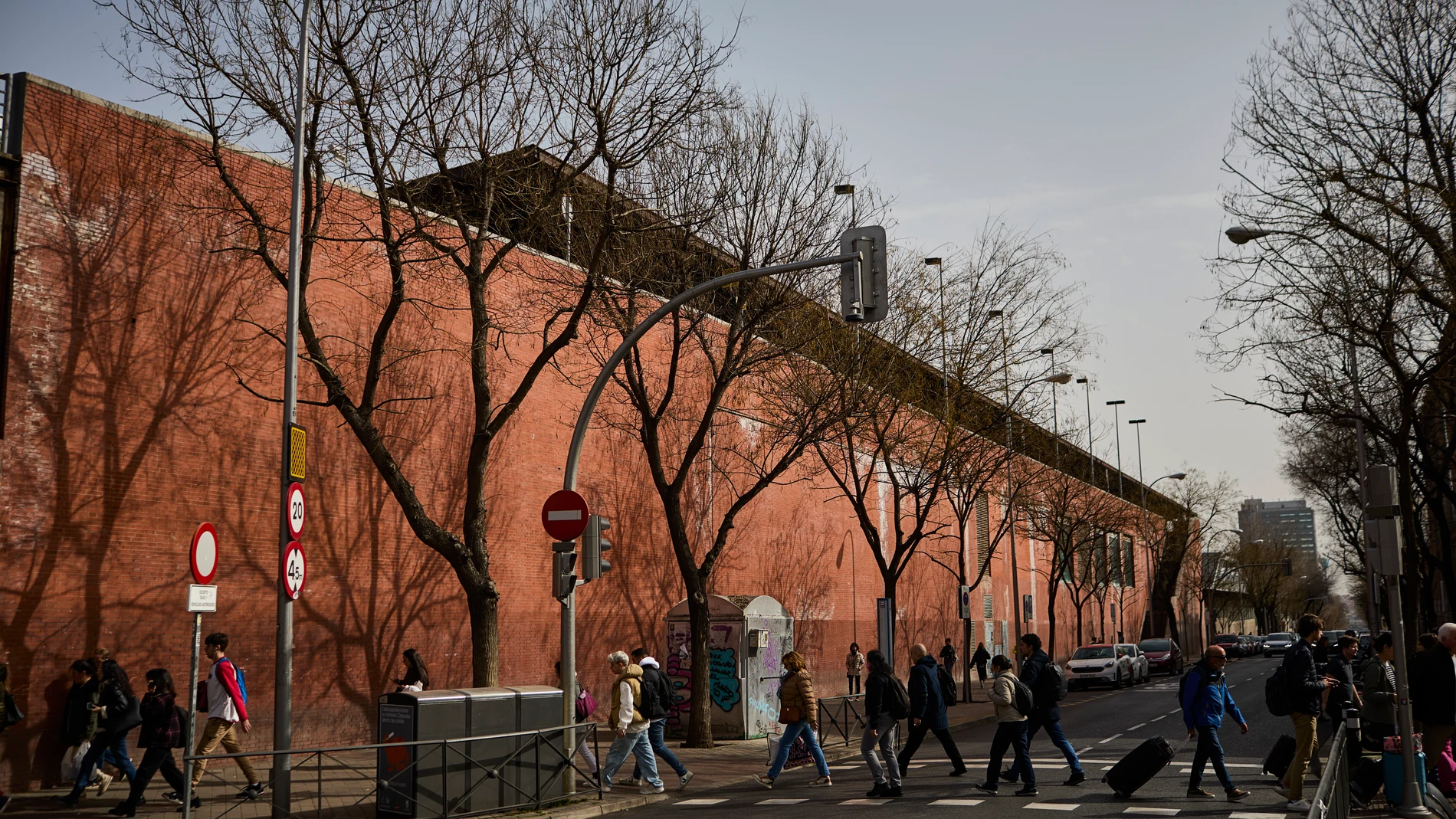 La remodelación de la estación de Atocha obliga a eliminar árboles en buen estado.