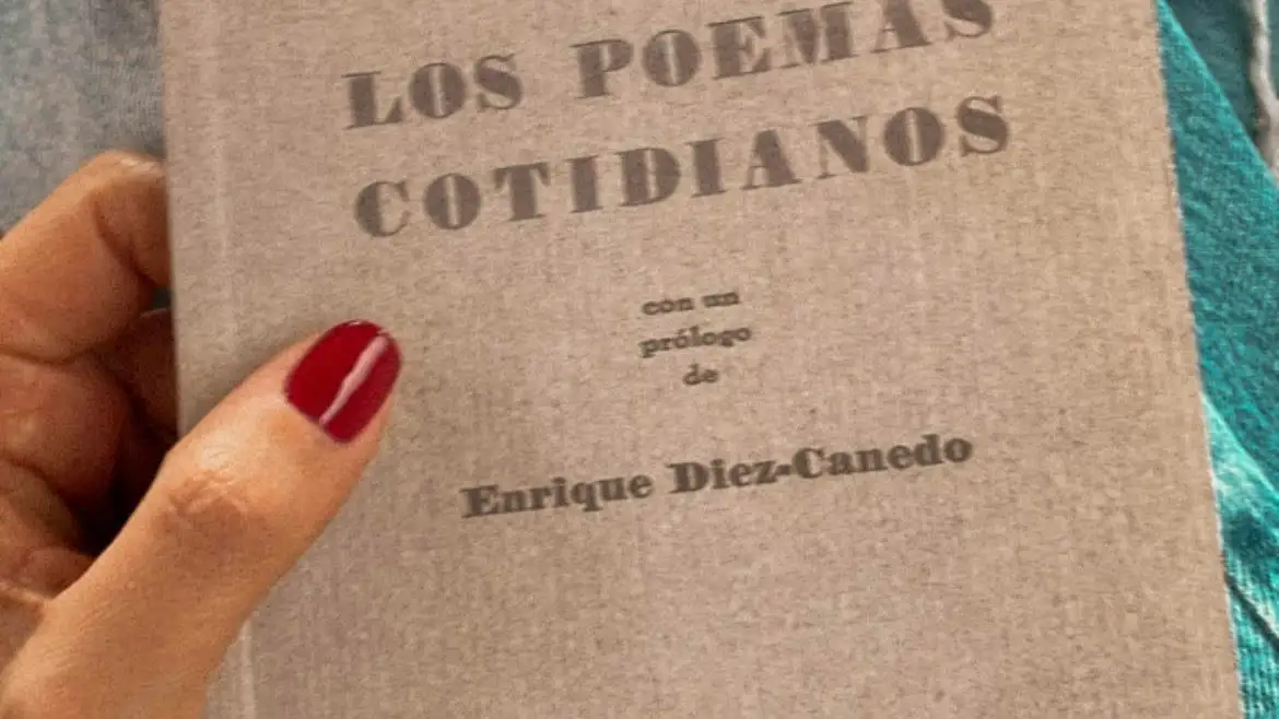 Stories de Sara Carbonero.