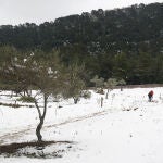 MURCIA.-La borrasca Juliette pondrá en alerta por frío a más de 30 provincias y a Mallorca en riesgo extremo por nieve