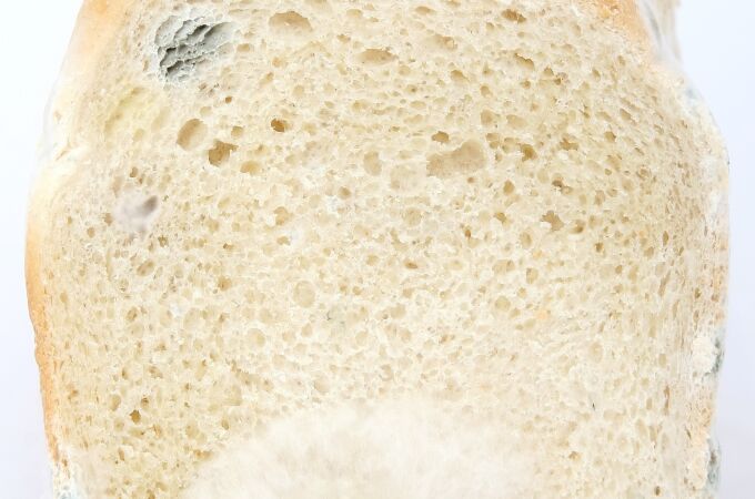En algunos alimentos es suficiente con retirar el moho para consumirlo con seguridad. Pero el pan no es uno de ellos