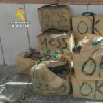 La droga intervenida