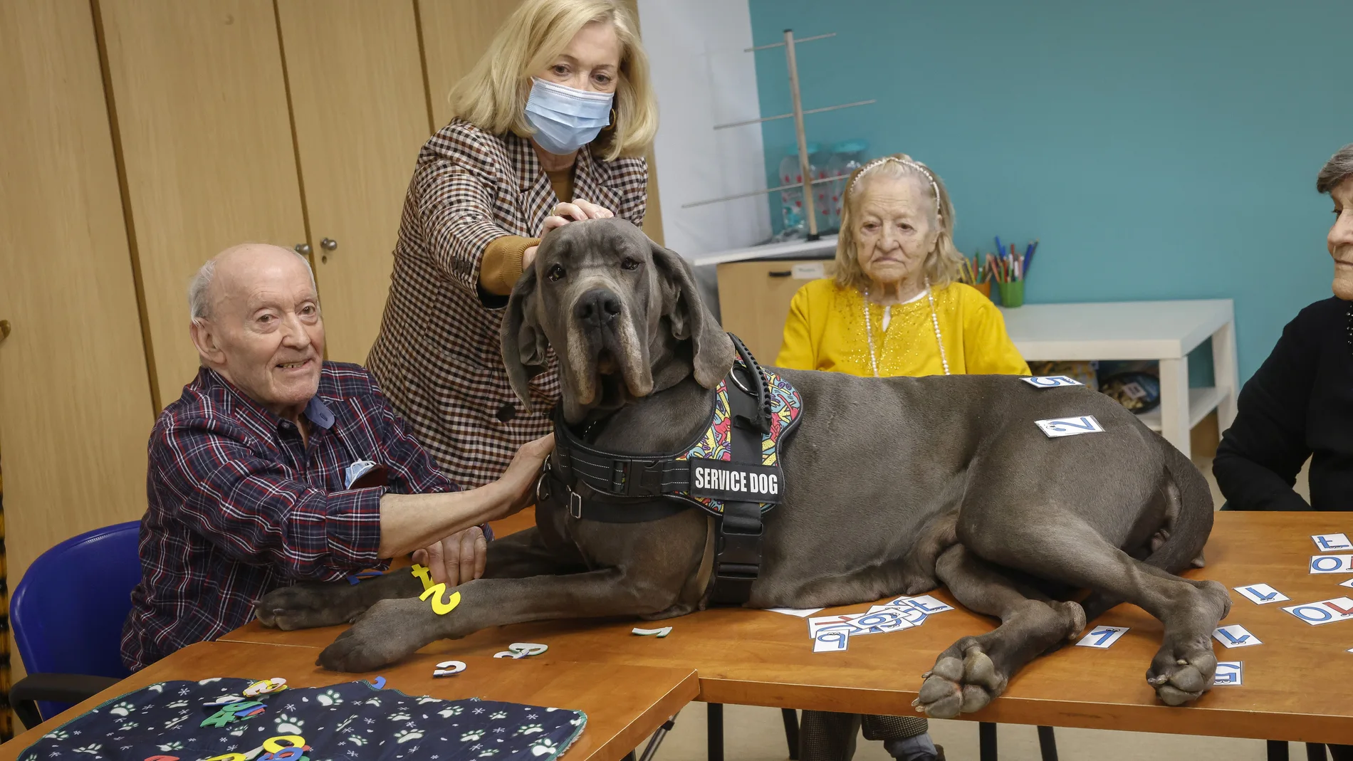 Madrid ofrece en 42 residencias de mayores servicios de animales co-terapeutas
