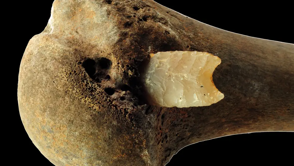 Punta de sílex clavada en la cabeza de un hueso humano (ca. 1250 a. C.) documentado en el conjunto arqueológico del valle del río Tollense (Alemania)