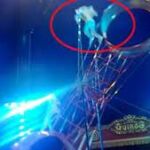 Un trapecista del Circo Quirós sufre en Madrid un accidente al caer de una altura de 7 metros