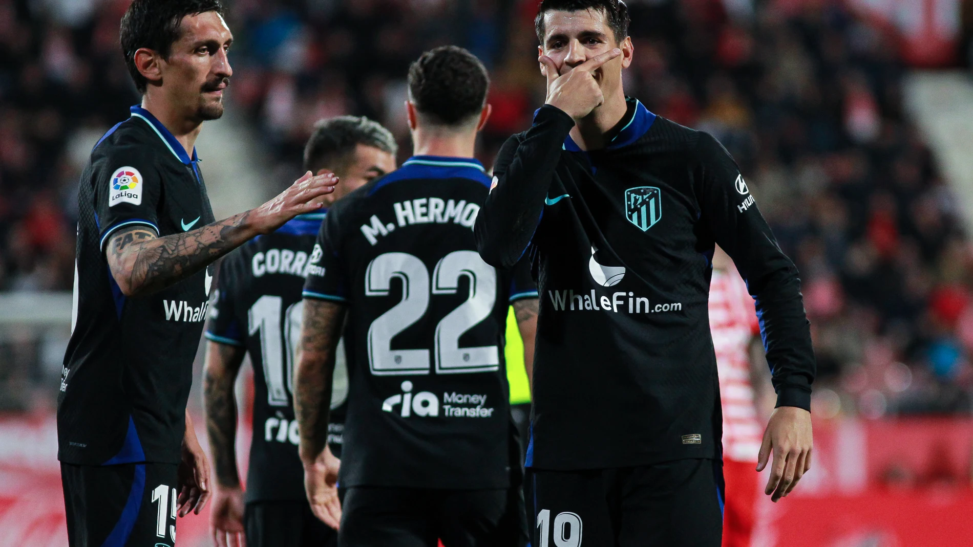 Alvaro Morata of Atletico de Madrid celebrates a goal during the spanish league, La Liga Santander, football match played between Girona FC and Atletico de Madrid at Montilivi stadium on March 13, 2023, in Girona, Spain. Irina R. Hipolito / Afp7 13/03/2023 ONLY FOR USE IN SPAIN