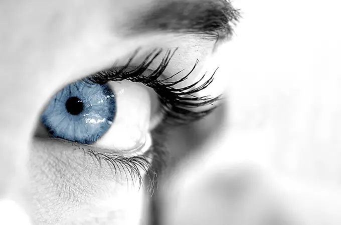 Alrededor de la mitad de las enfermedades oculares son debidas a patologías inmunomediadas