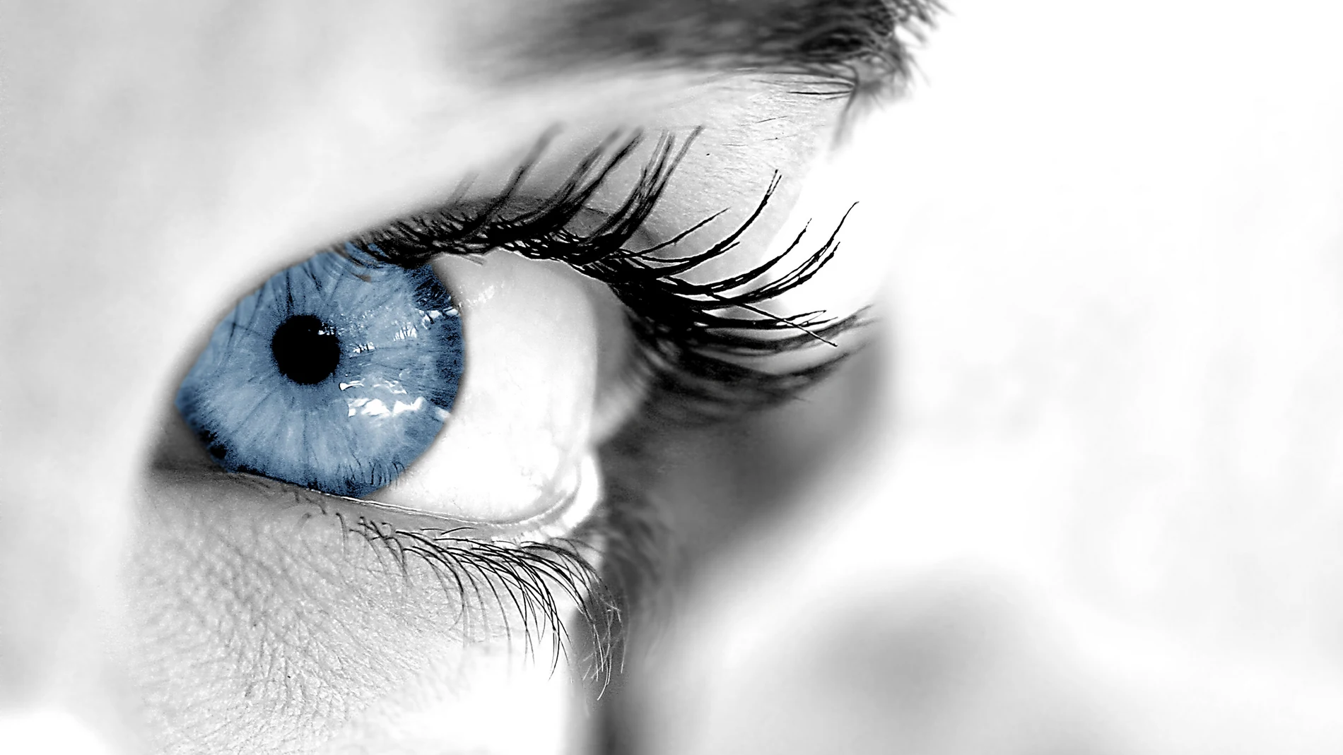  La Sociedad Española de Oftalmología advierte sobre los riesgos que la intervención para cambiar el color de ojos puede suponer para la visión