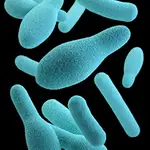 Bacteria que causa botulismo