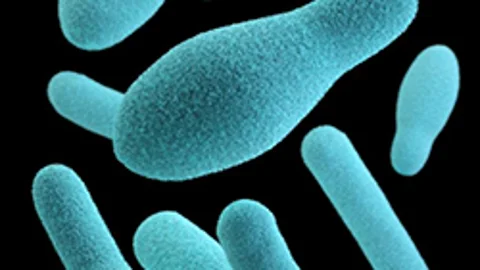 Bacteria que causa botulismo