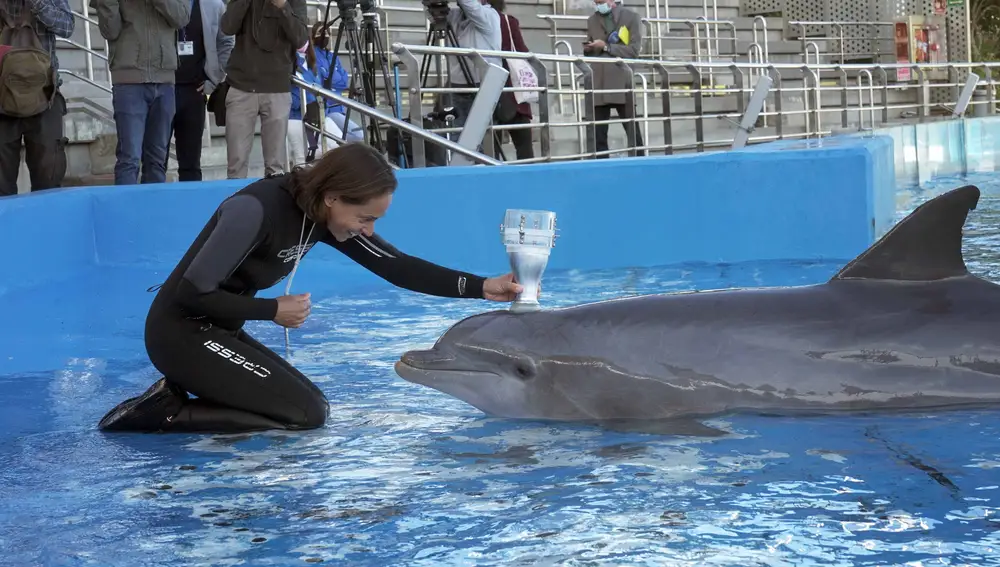 Julieta, una cuidadora de delfines, realizando una espirometría al delfín