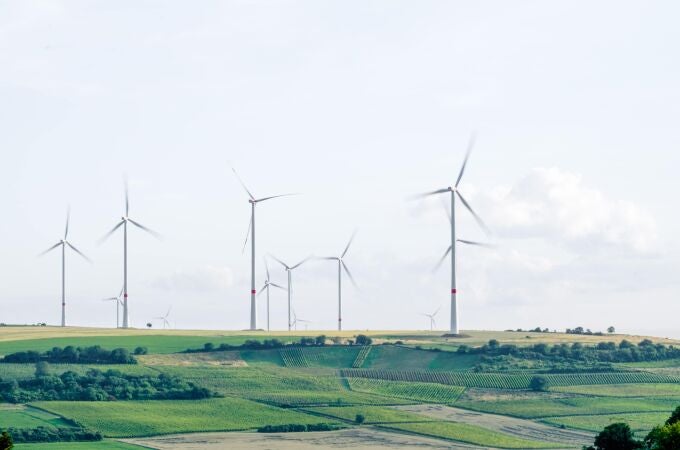 España mantiene las exigencias ambientales de los proyectos de energía renovables