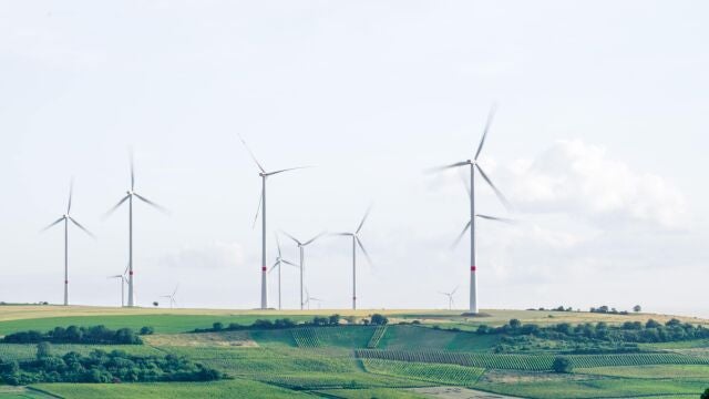 España mantiene las exigencias ambientales de los proyectos de energía renovables