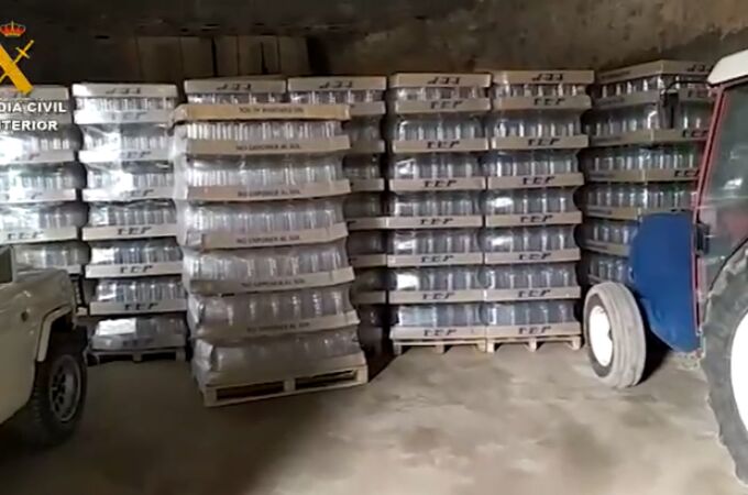 La Guardia Civil desmantela una banda de ladrones de aceitunas y a los receptadores que se las compraban
