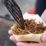 Alertan que el consumo de insectos puede presentar ciertos riesgos