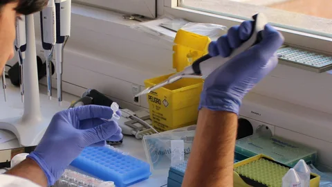 Se están analizando analizando muestras para detectar el origen del brote