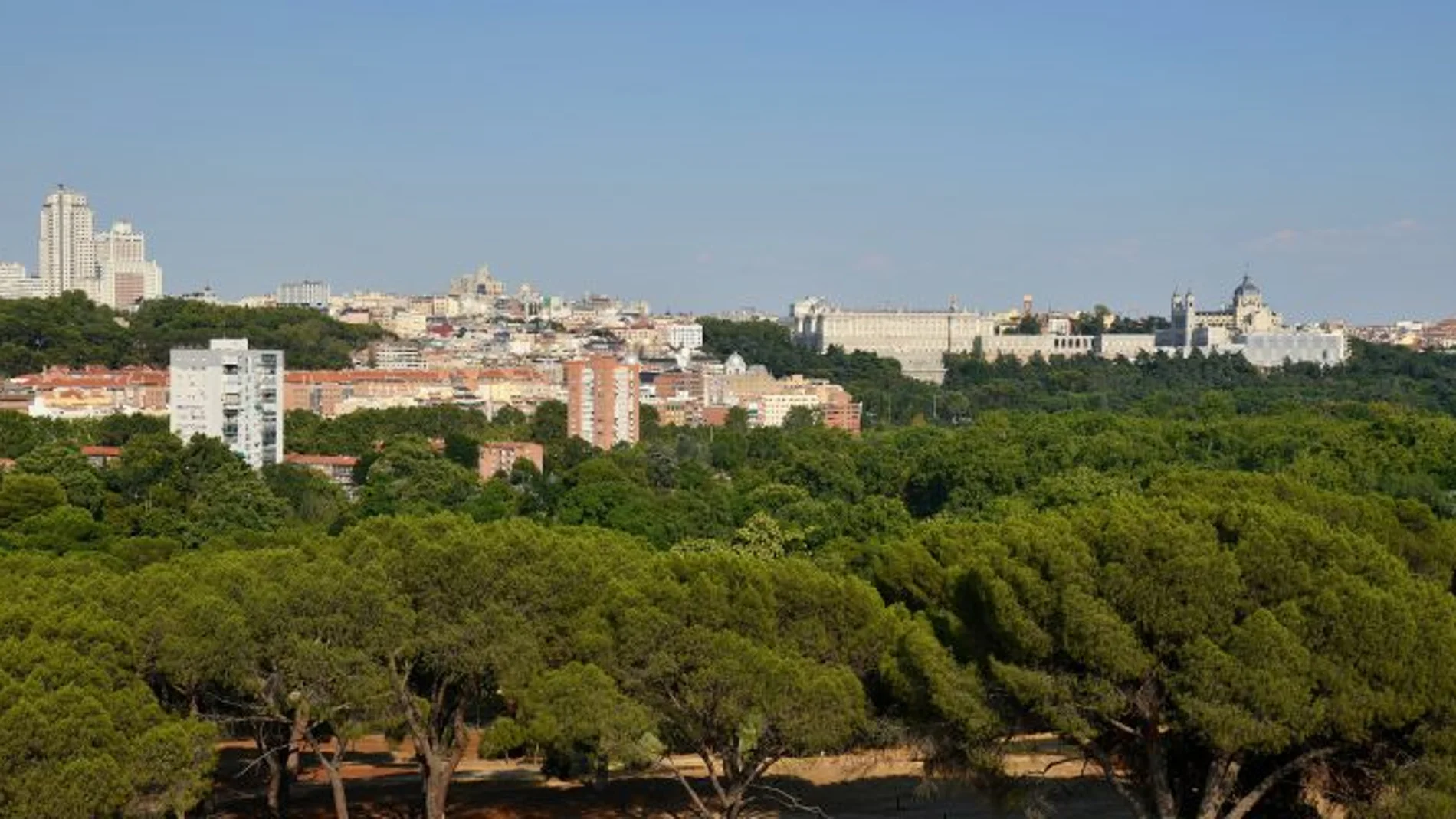 Madrid, reconocida por cuarto año consecutivo "Ciudad arbórea del mundo"