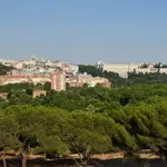 Madrid, reconocida por cuarto año consecutivo "Ciudad arbórea del mundo"