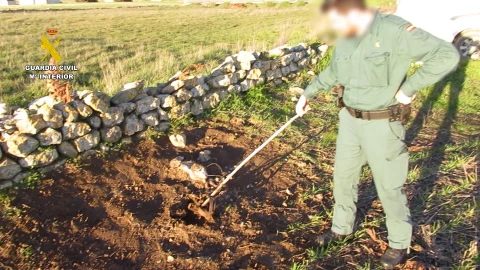 Localizan en Palencia un criadero ilegal de liebres para entrenar galgos