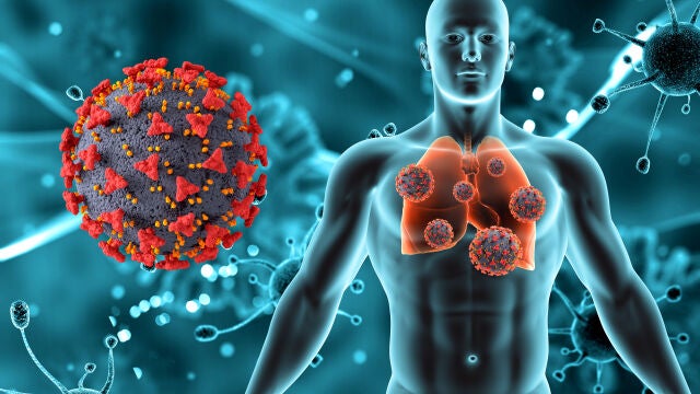 Las muertes por tuberculosis aumentan por primera vez en 20 años por efecto de la Covid-19