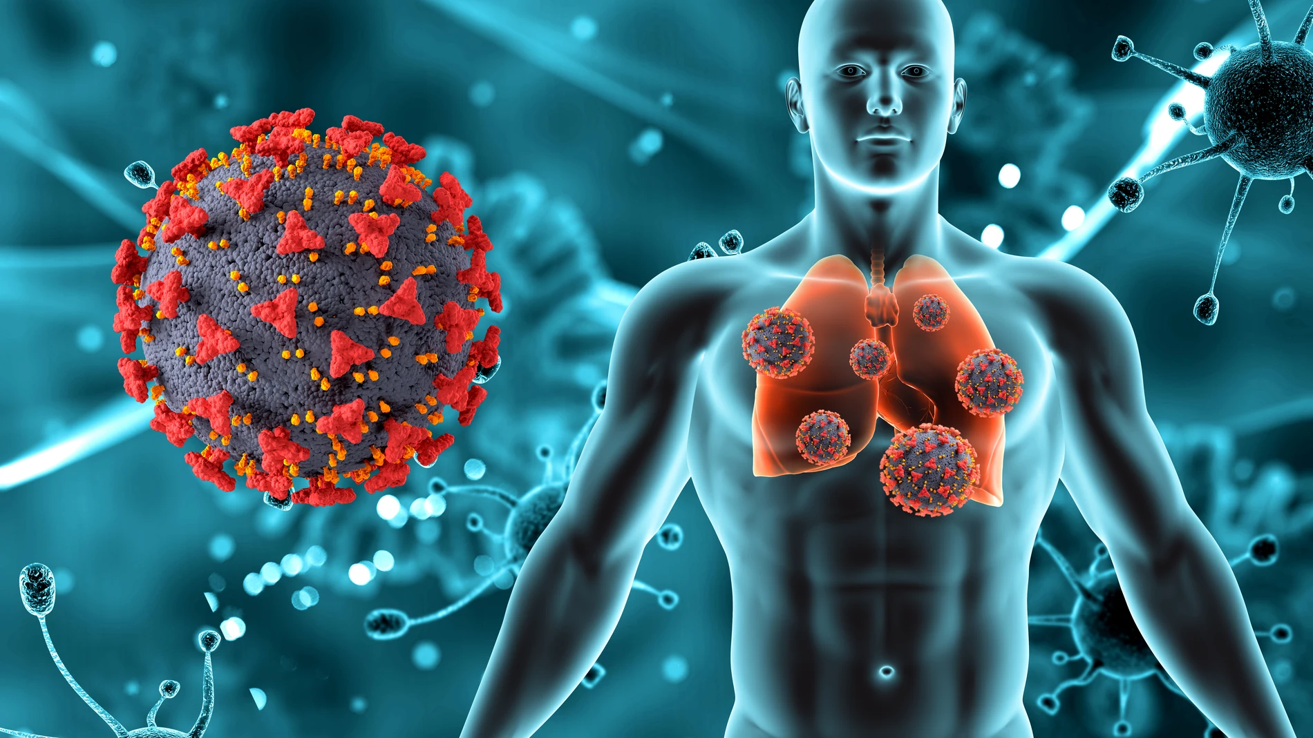 Las muertes por tuberculosis aumentan por primera vez en 20 años por efecto de la Covid-19