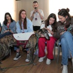 Taller de terapia con galgos durante el Congreso