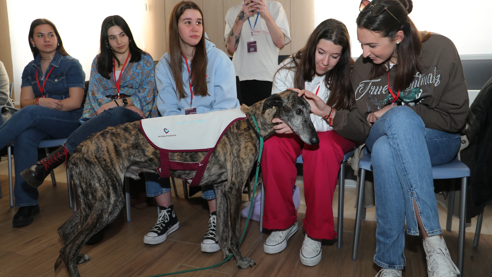 Taller de terapia con galgos durante el Congreso