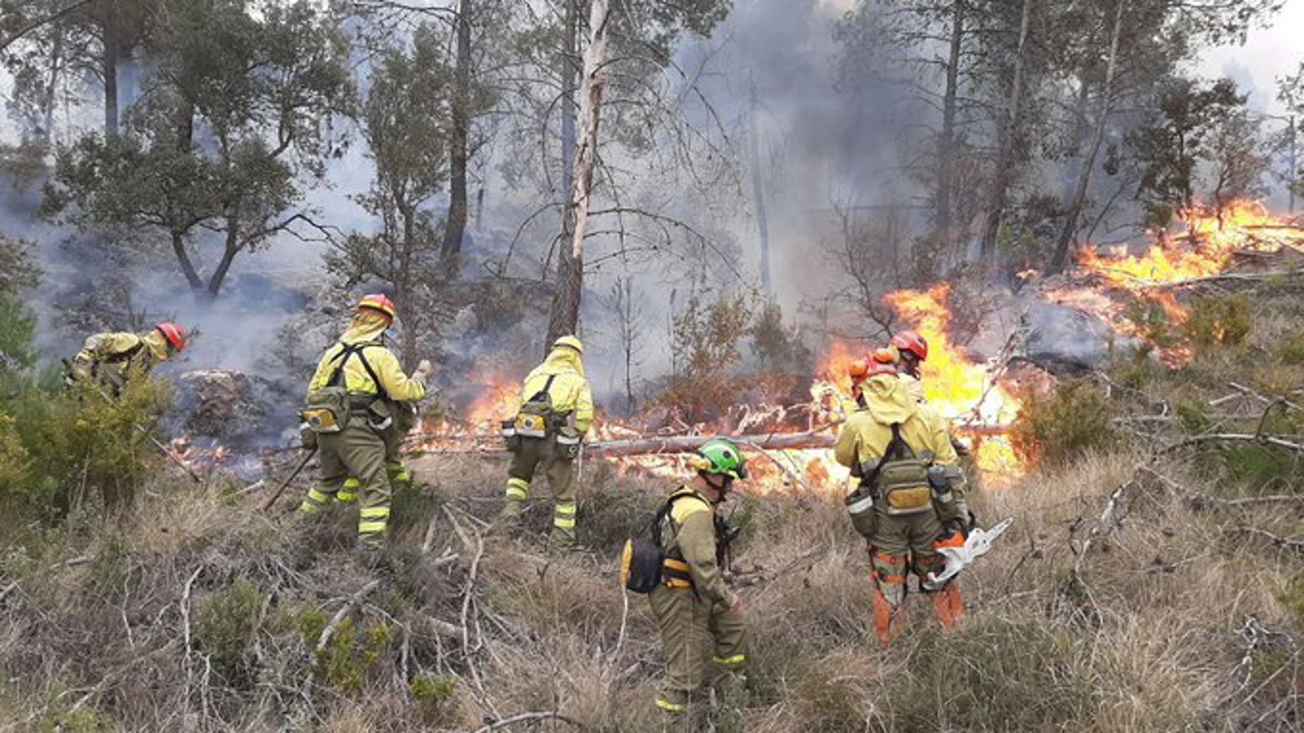 Bomberos murcianos trabajan en el incendio forestal