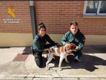 Two agents of the Civil Guard of Zaragoza rescue a dog that was going to drown