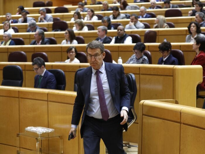 Control al Gobierno en el Senado. Alberto Nuñez Feijoo.
© Jesús G. Feria.