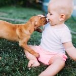 Bebé jugando con un perro