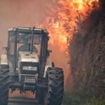 Incendios.- Asturias contabiliza 116 incendios forestales en 35 concejos y arde el Naranco en Oviedo