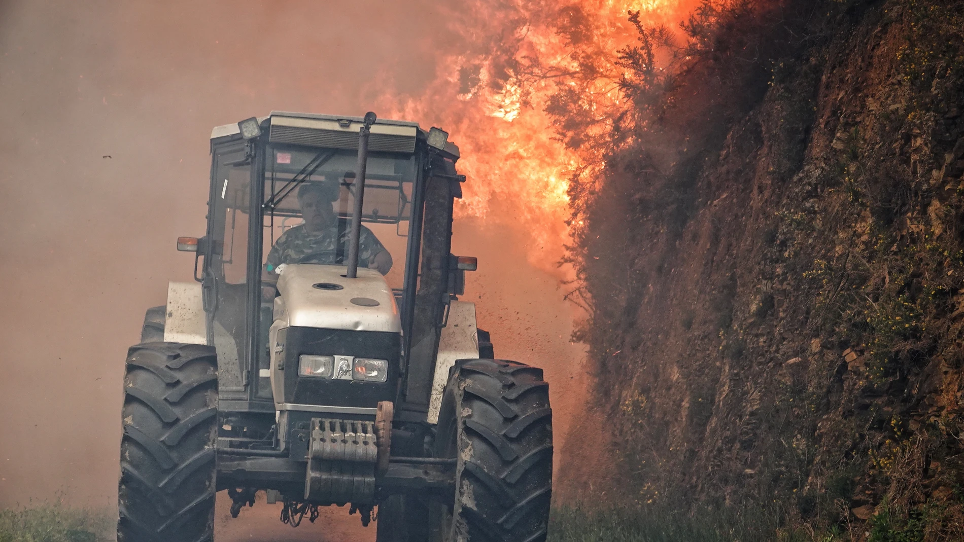 Incendios.- Asturias contabiliza 116 incendios forestales en 35 concejos y arde el Naranco en Oviedo