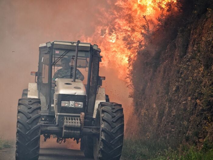 Asturias contabiliza 116 incendios forestales en 35 concejos y arde el Naranco en Oviedo