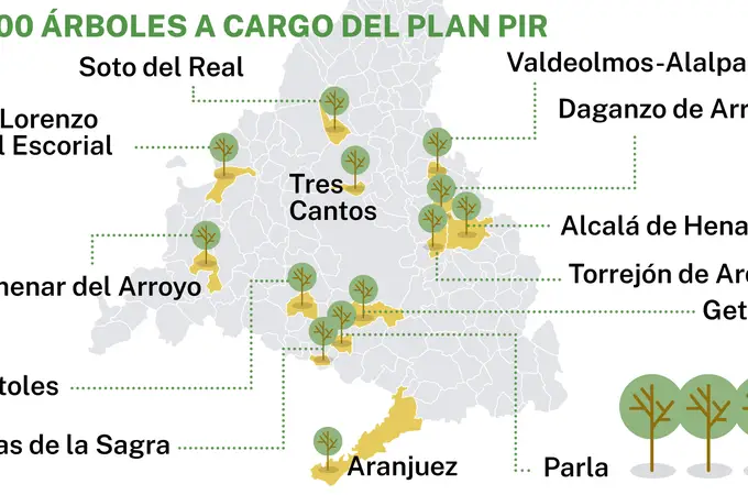 Los 6.300 que plantará desde hoy el Gobierno de Ayuso: de las encinas de Alcalá a los kiwis de San Lorenzo