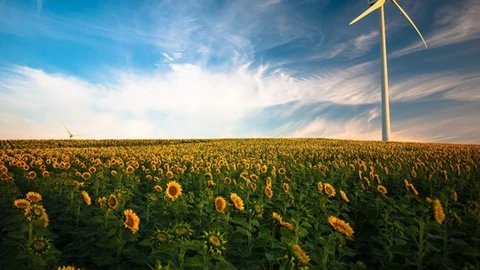 Aerogenerador en un campo de girasoles (Pixabay)