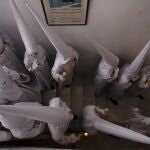 Nazarenos de la hermanad del Rocío de Málaga