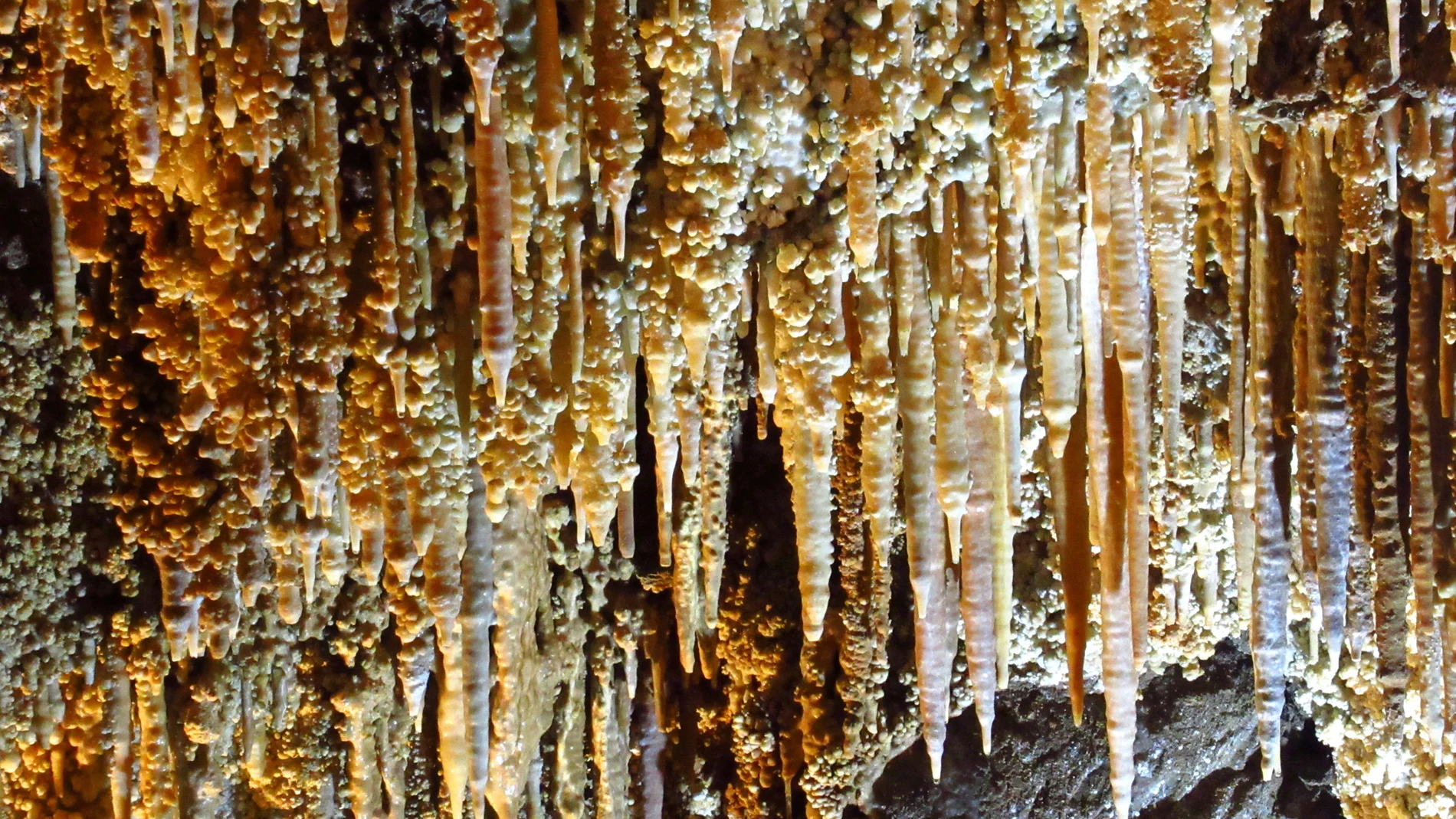 Cueva de Llamazares