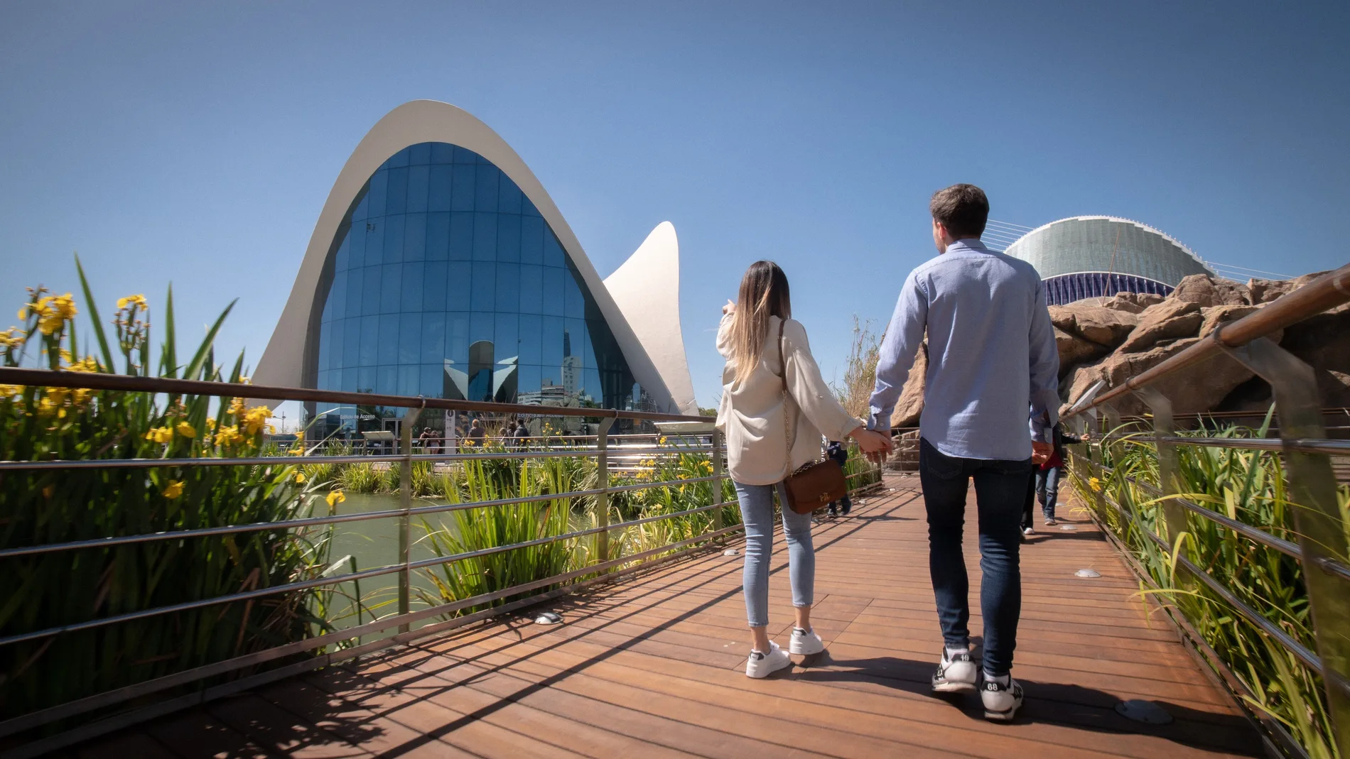 El Oceanogràfic de Valencia amplía el horario para Semana Santa