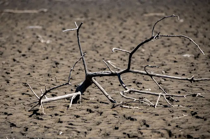 La falta de lluvia agrava la sequía que atraviesa España