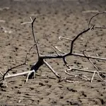 El Gobierno ha convocado para el día 19 la Mesa de la Sequía 