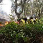 Incendio ocurrido en Tarifa (Cádiz)