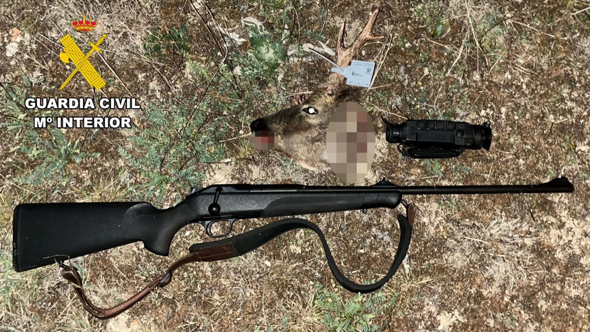 Intervienen tres rifles de caza, tres visores térmicos y dos cabezas de corzo por prácticas cinegéticas irregulares en la comarca del Arlanza (Burgos)