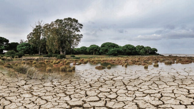Imagen para portada sobre la sequía en Doñana