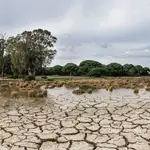 Imagen para portada sobre la sequía en Doñana