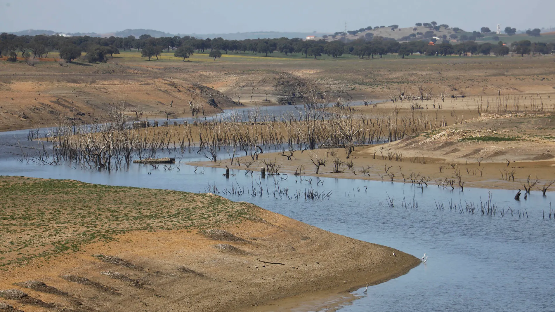 Escasez de agua en el embalse de Sierra Boyera en Bélmez (Córdoba)