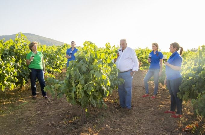 Pese a la escueta producción, el vino con denominación de origen almeriense ha ganado importantes reconocimientos