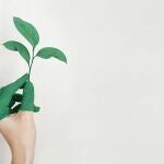 ¿Puede nuestra alimentación contribuir a frenar el cambio climático?