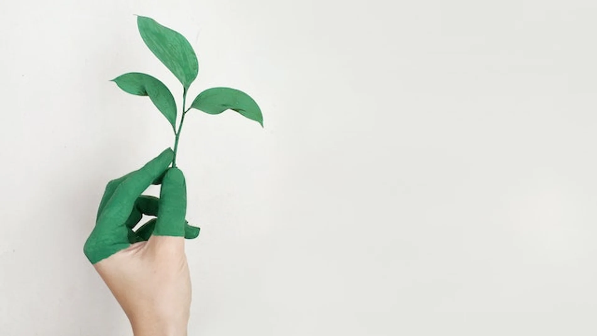 ¿Puede nuestra alimentación contribuir a frenar el cambio climático?