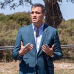 Sánchez llama a la Junta a volver a la "legalidad europea" para no llevar Doñana a un "punto de no retorno"