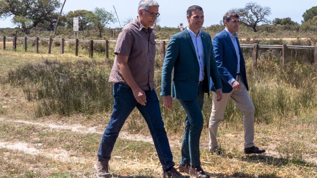 Sánchez llama a la Junta a volver a la "legalidad europea" para no llevar Doñana a un "punto de no retorno"